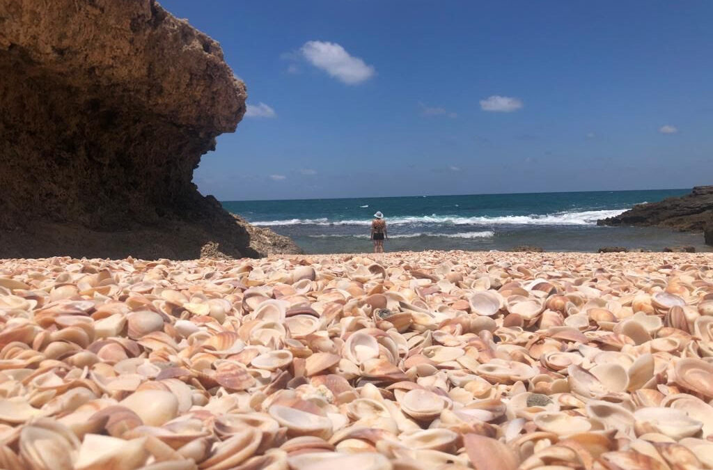 בכל פעם שאנחנו עובדים יחד אנחנו רבים. ואנחנו עובדים יחד מלא:)